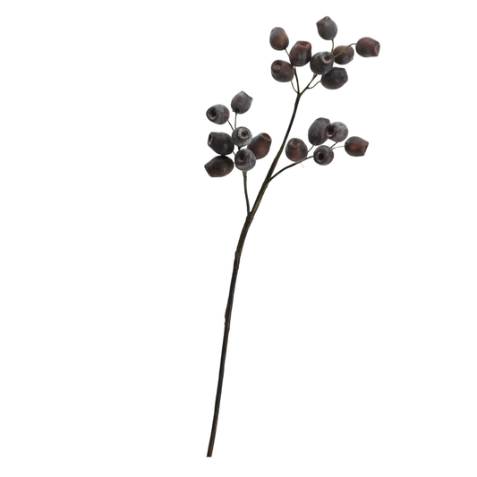 Seeded Stem | Dark