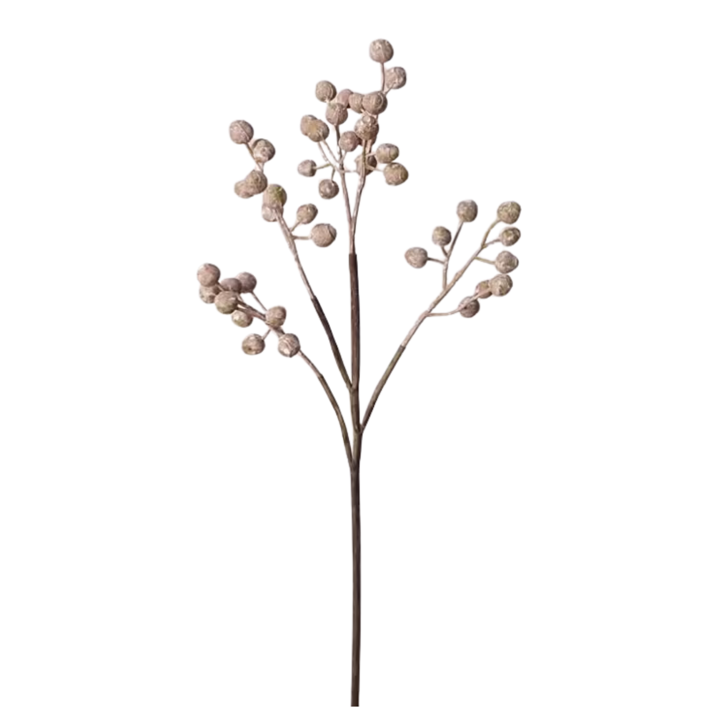 White Berry Branch