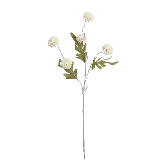 Pixie | Ivory