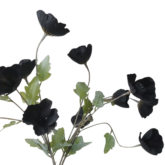 Floral | Black