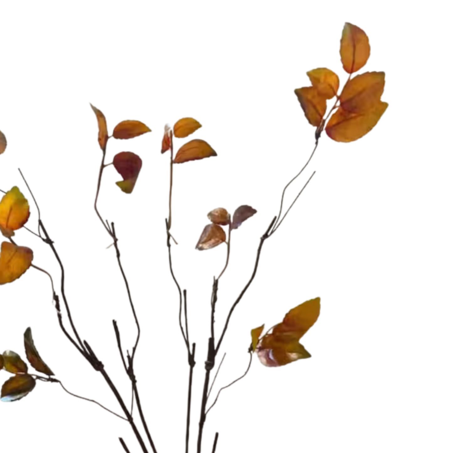 Mini Leaf | Amber