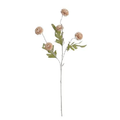 Pixie | Blush