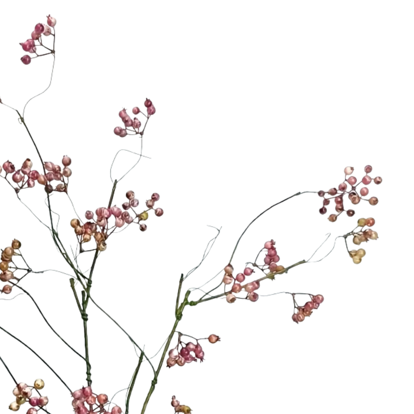 CRANBERRY | SOFT PURPLE
