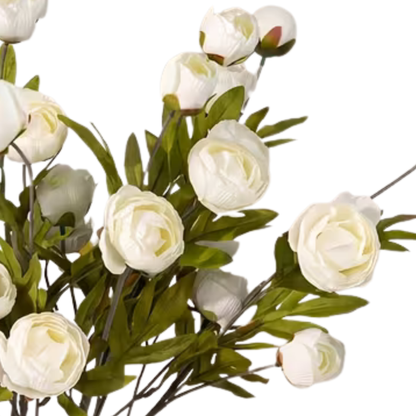 Floral | Peony Cream