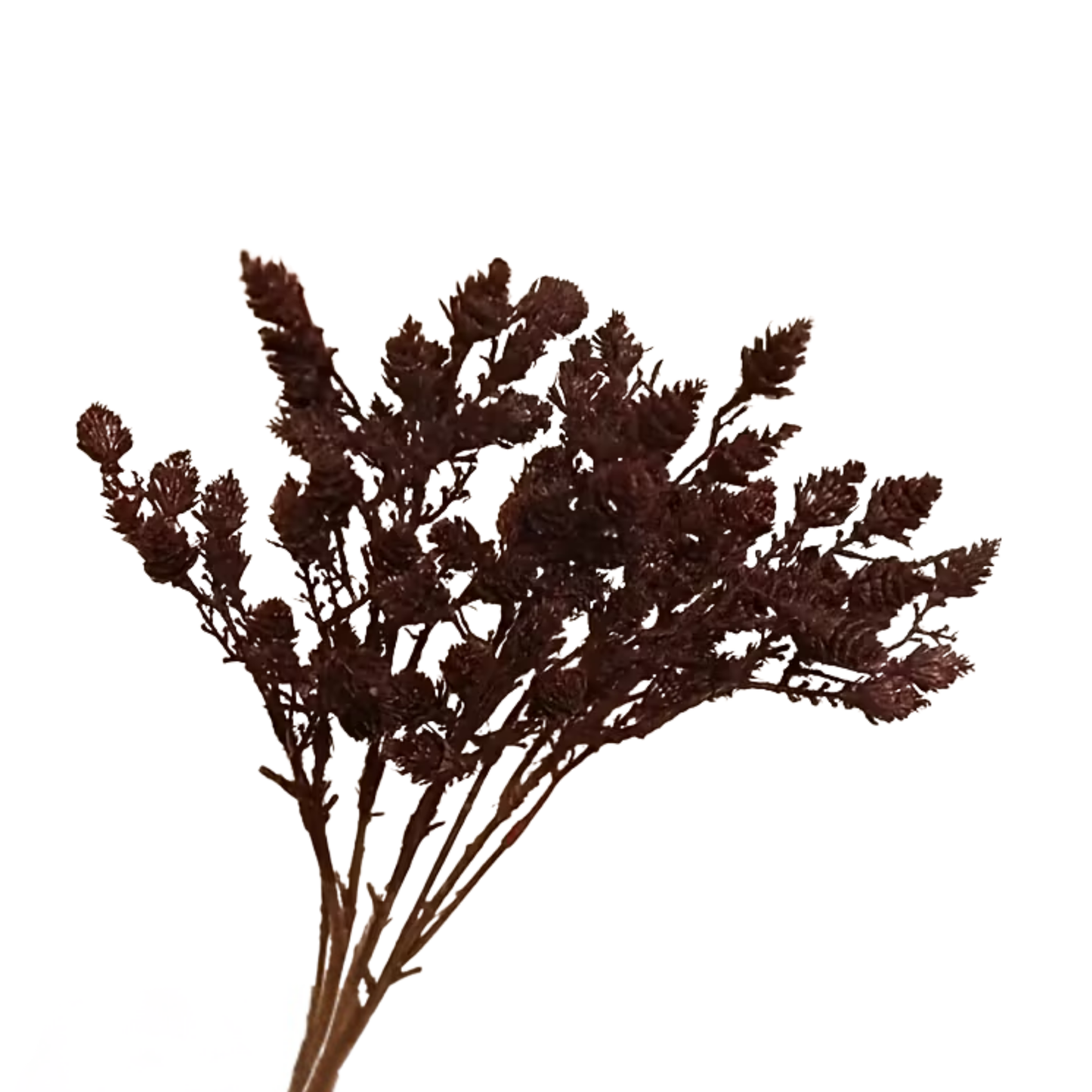 Burgundy Long Floral Branch