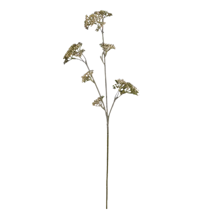 Green Pod Stem