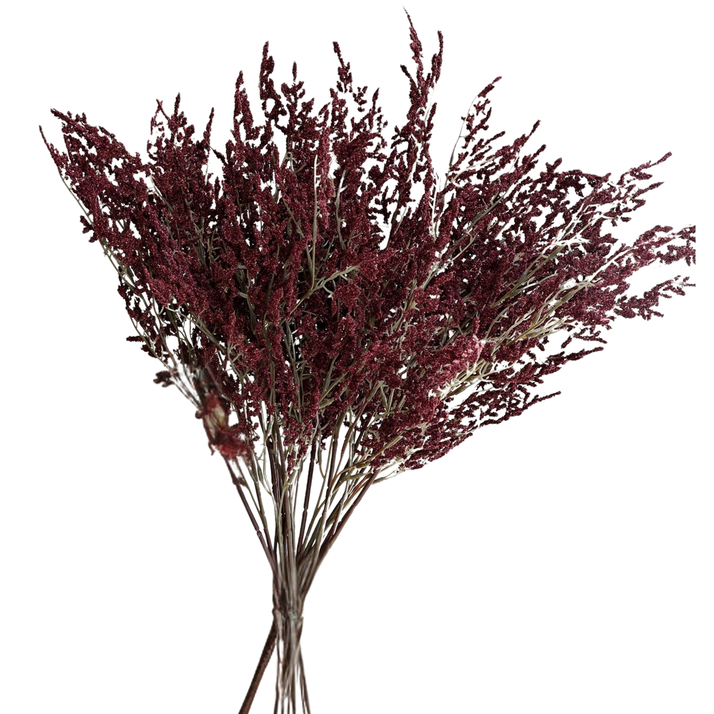 Burgundy Flocked Stem