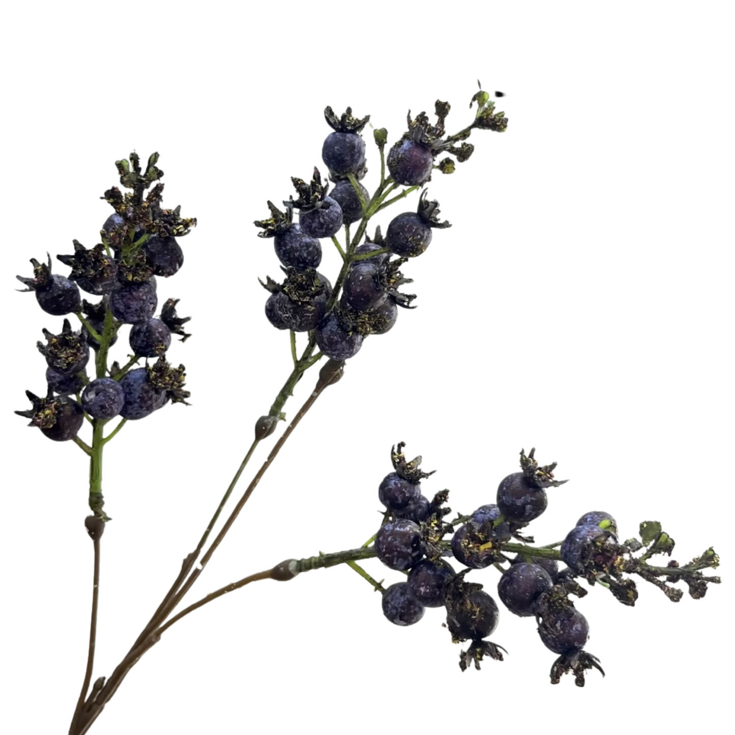 Purple Berry Branch