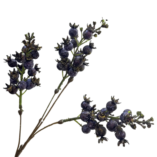 Berry | Autumn Blue