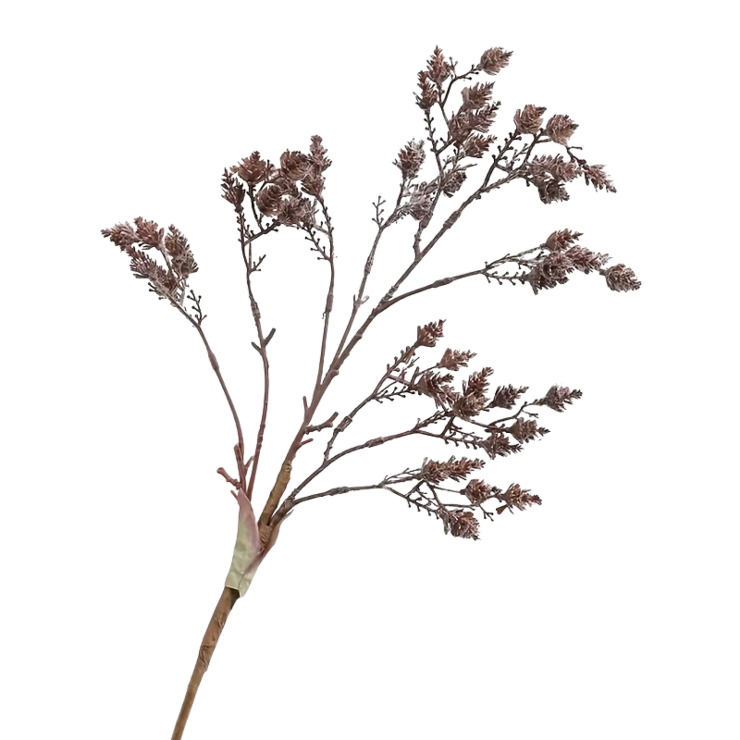 Coffee Pinecone Branch