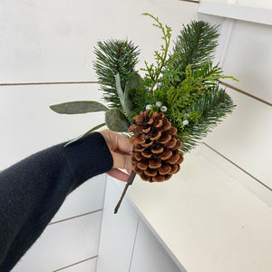 LONG NEEDLE PINE | BUNDLE SM