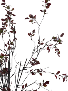 Burgundy Mini Leaf - 1-0007