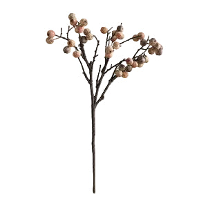 Coffee Berry Branch - 1-0020