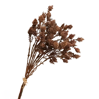 Coffee Long Floral Branch - 1-0050