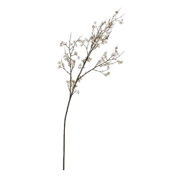 Coffee Eucalyptus Fruit Stem - 1-0062