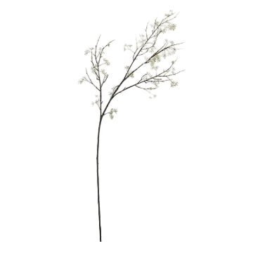 Off White Eucalyptus Fruit Stem - 1-0063
