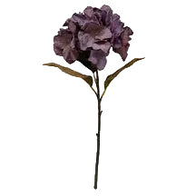 Plum Hydrangea - 1-0076