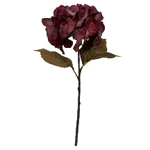 Burgundy Hydrangea - 1-0077