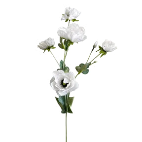 White Soft Lotus Stem - 1-0093