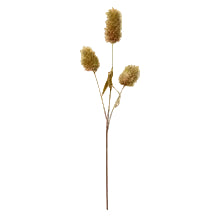 Green Rabbit Tail Stem - 1-0099