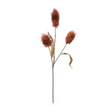 Coffee Rabbit Tail Stem - 1-0100