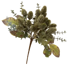 Blackish Green Teasel Bunch - 1-0105
