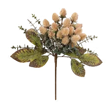 Milk White Teasel Bunch - 1-0106