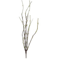 Dogwood - 1-0118