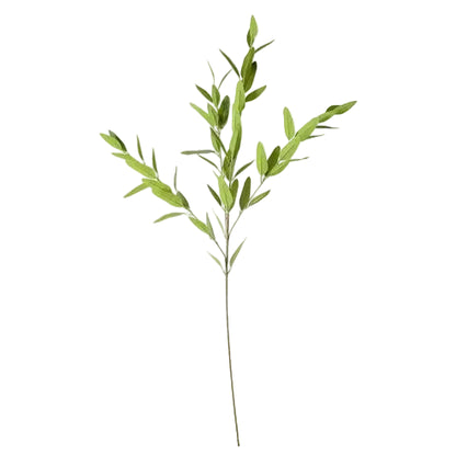 Willow Eucalyptus