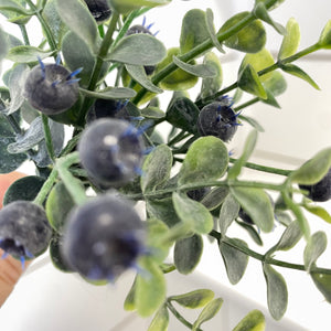 EUCALYPTUS BLUE | PICK