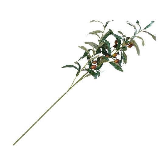 OLIVE LEAF | STEM