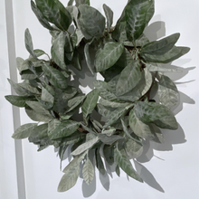 Load image into Gallery viewer, LAMBS EAR | WREATH
