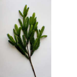 GREEN SPRUCE | STEM L