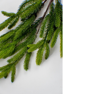 GREEN SPRUCE | STEM L