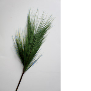 LONG NEEDLE PINE | STEM M