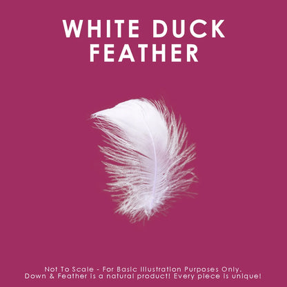 White Feather Cushions