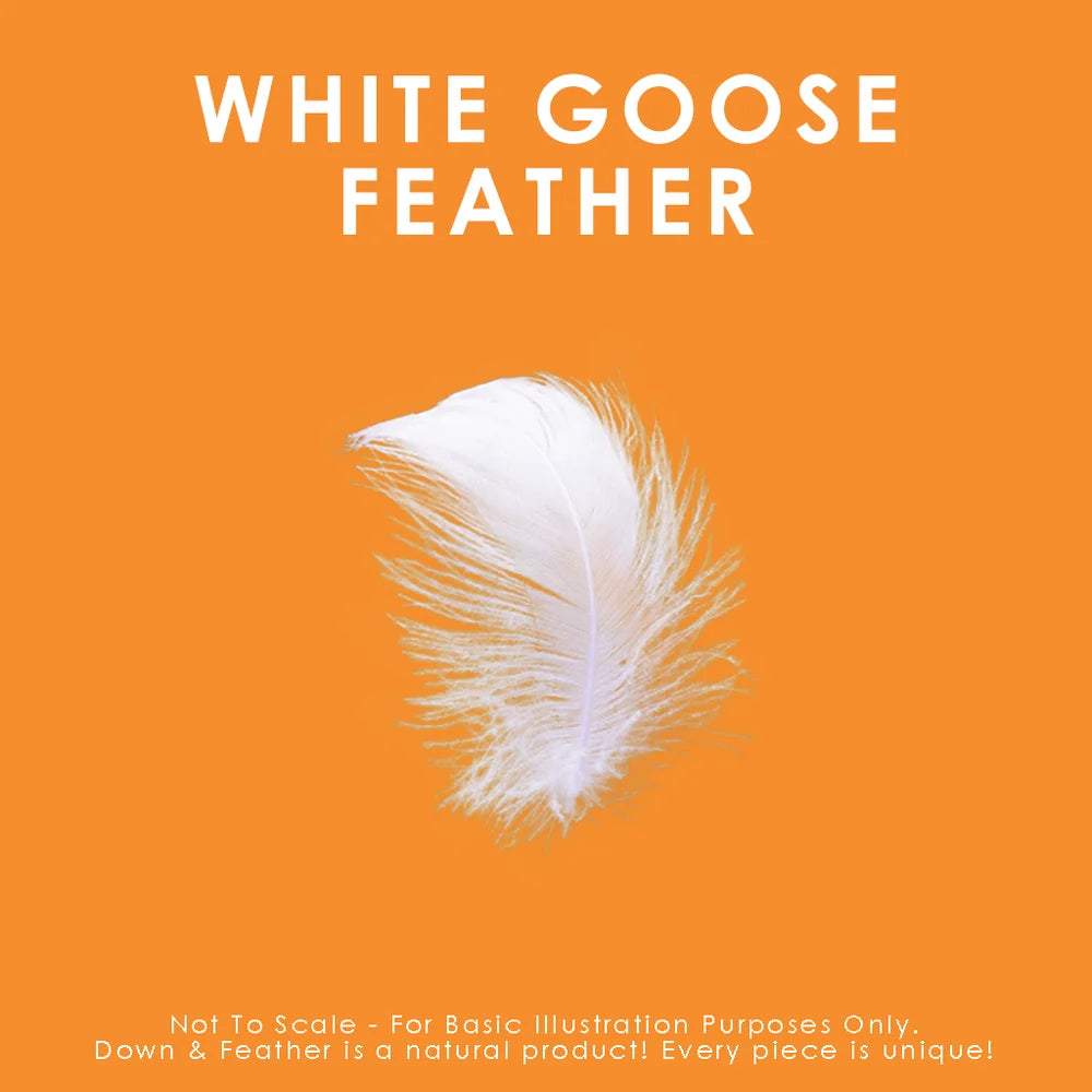 White Goose Feather