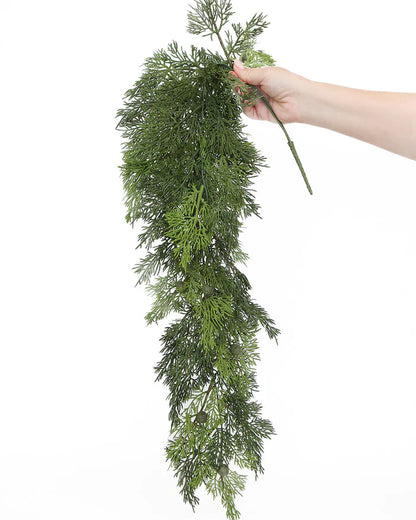 CEDAR | HANGING