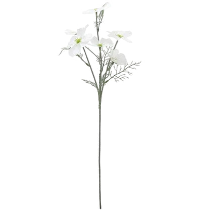 Floral | Cosmo White