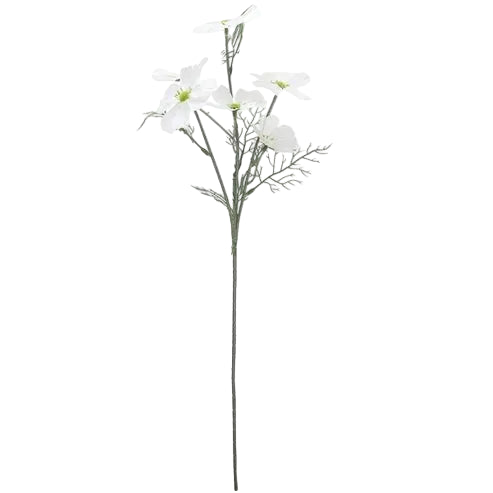 Floral | Cosmo White
