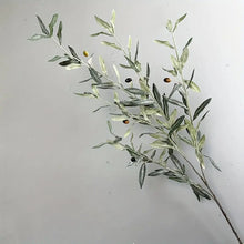 Load image into Gallery viewer, OLIVE | STEM
