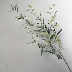 OLIVE | STEM