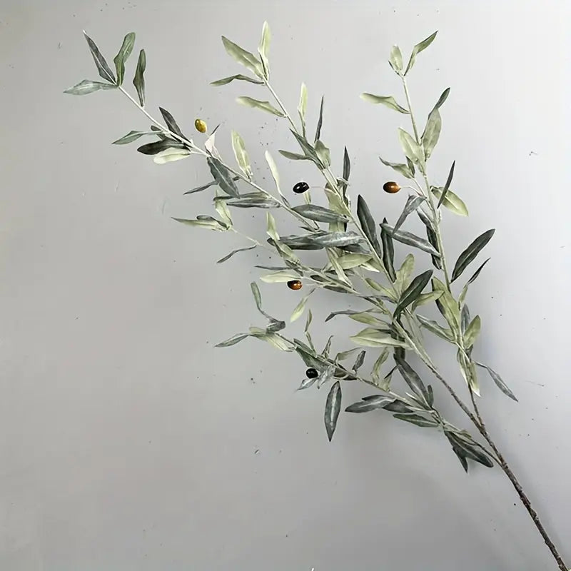OLIVE | STEM