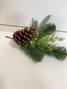 LONG NEEDLE PINE | BUNDLE SM