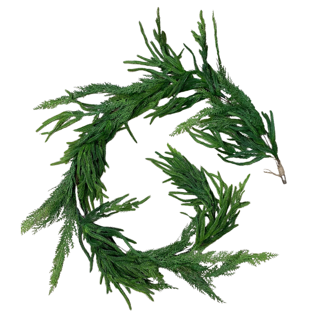 NORFOLK & CYPRESS | 6FT