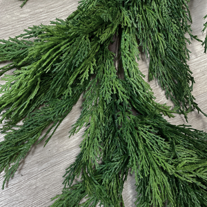 WHISPY CEDAR | 5FT