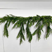 Load image into Gallery viewer, NORFOLK DRIP | 3.5FT
