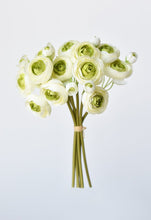 Load image into Gallery viewer, RANUNCULUS | GREEN
