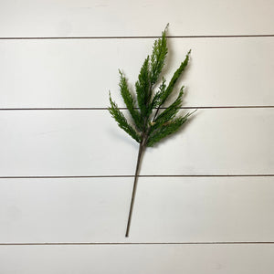 WHISPY CEDAR | STEM M