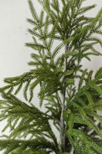 Load image into Gallery viewer, NORFOLK PINE | 40&quot; TREE
